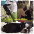 /album/argo/argo-2-fotor-collage-fotor-jpg/